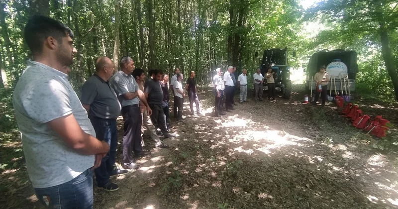 Lənkəranda meşələrin yanğın təhlükəsizliyinə dair tədbir keçirilib
