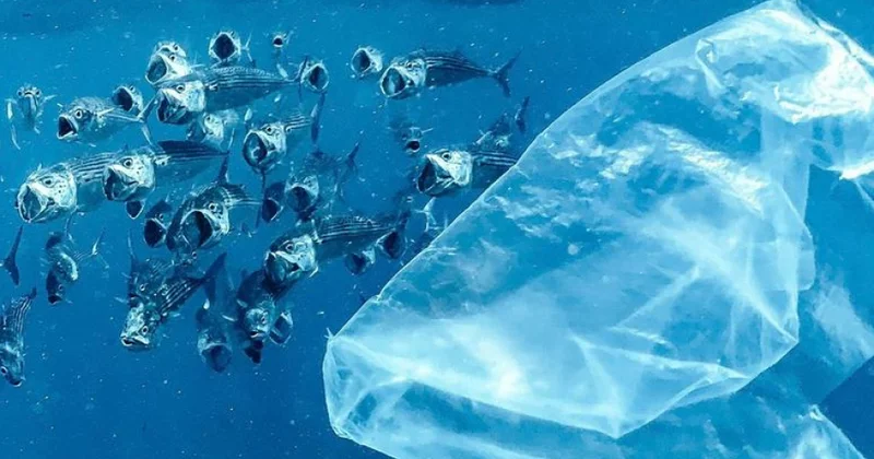 Plastik çirklənməyə son qoyulması üzrə qlobal müqavilə imzalanacaq
