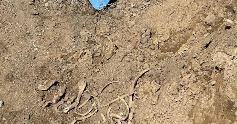 Ağdamda insan skeletinə bənzər sümük fraqmentlər aşkar ediib araşdırma aparılır