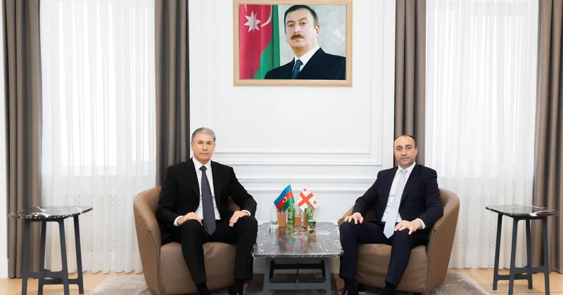 Gürcüstanın daxili işlər naziri Bakıya gəldi FOTO