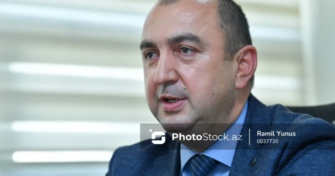 Nazir müavini: Ermənilər işğal dövründə 54 min hektar meşə sahəsini məhv edib