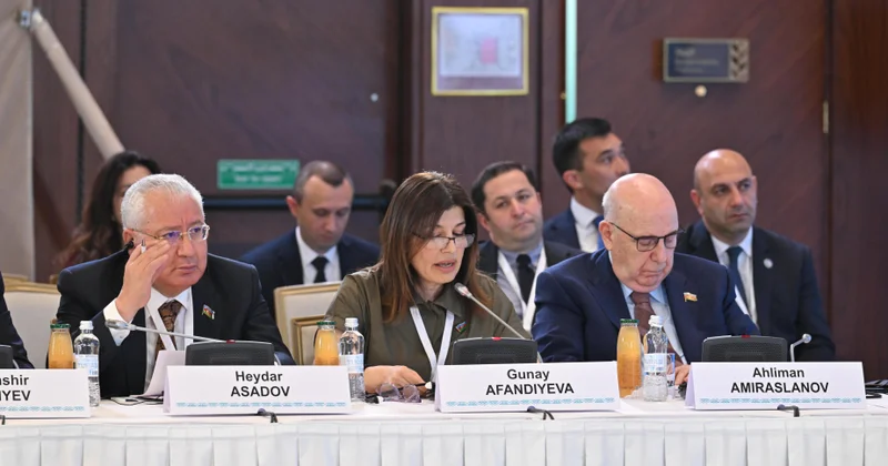 Günay Əfəndiyeva: Hər bir sahədə olduğu kimi, təhsil sahəsində də ortaq dil, ortaq dəyərlər və ortaq gələcək vizyonu ilə hərəkət etməliyik