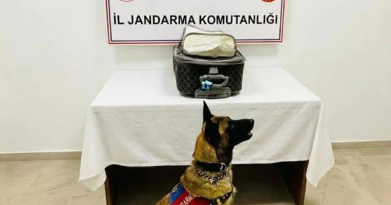 Türkiyədə Azərbaycan vətəndaşından külli miqdarda narkotik götürüldü