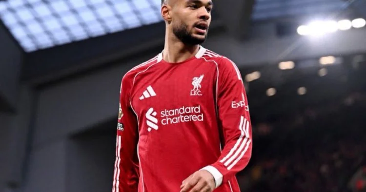 Tottenhem Liverpul a 70 milyon avroluq təklif göndərəcək