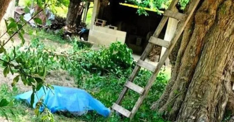 Tut ağacından yıxılıb öldü