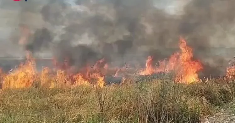 Ağdamda ot sahəsindəki yanğın söndürüldü YENİLƏNİB