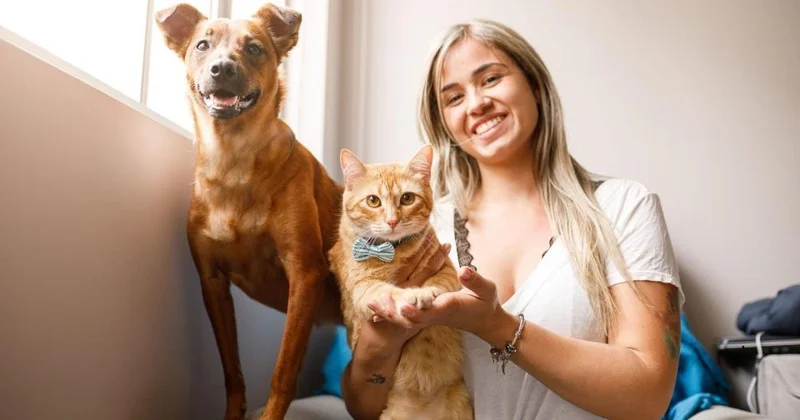 Ev heyvanı saxlamaq stressi artıra bilər Araşdırma