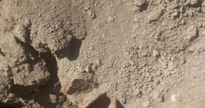 Ağdamda qazılan məzarda döyüş sursatı tapıldı