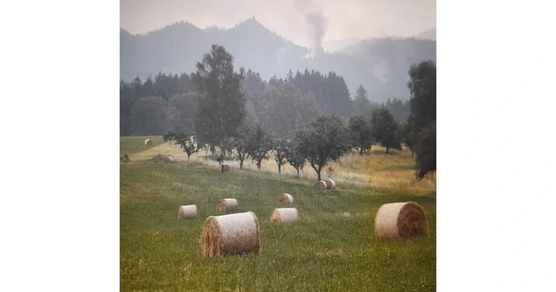 “Meşə yanğınları ilə mübarizə sahəsində maarifləndirmə” layihəsi qalib elan olunub