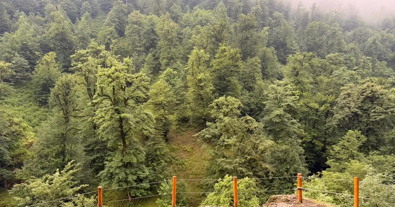 Azərbaycanda gizli cənnət varmış 74 bulaq, 4 şəlalə və nağıl kimi kənd FOTOLAR