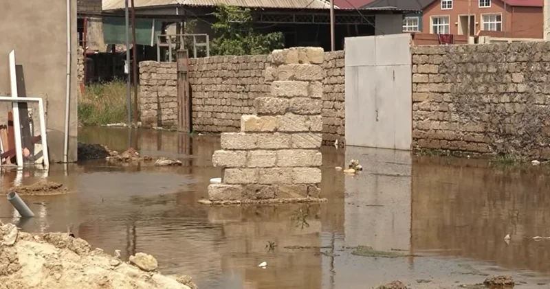 Məmmədlidə evlər hələ də su altındadır: Zəhərli ilanlar peyda olub VİDEO