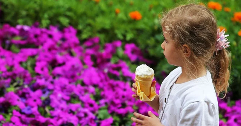 Ölkədə maksimal temperatur bu ərazilərdə qeydə alınıb