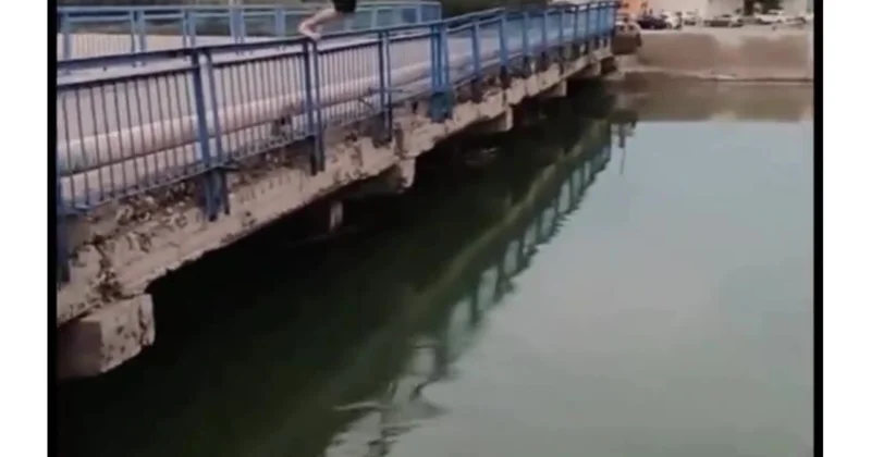 “Jeton” və baxış naminə həyatlarını təhlükəyə atırlar Görüntülər narahatlıq doğurdu (Video)