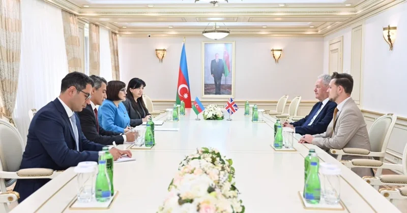 Milli Məclisin sədri Britaniya Azərbaycan parlamentlərarası dostluq qrupunun rəhbəri ilə görüşüb
