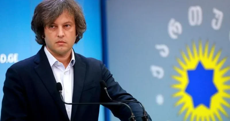 Кобахидзе: Решение о приглашении БДИПЧ на выборы 2028 года примут в год выборов