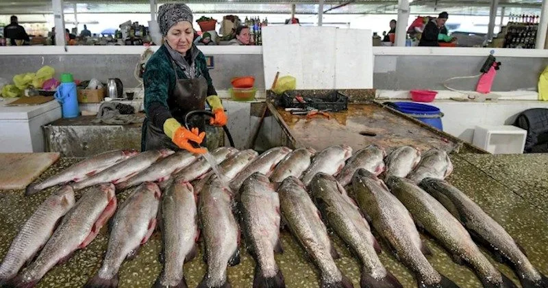 Balıqçılıq sahəsində yoxlamalara icazə veriləcək KONKRET