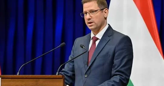 В Венгрии лидер фракции оппозиционной партии ФИДЕС ушел в отставку