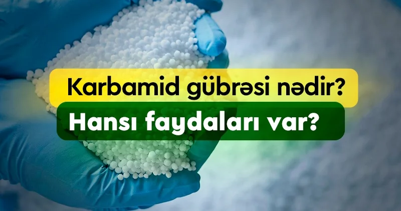 “Karbamid istehsalı enerji tutumlu prosesdir” EKSPERT DANIŞDI