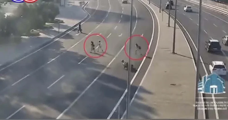 Bir piyadanın səhvi faciəvi qəzaya səbəb olur &nbsp;Nəqliyyat ekspertindən İZAH