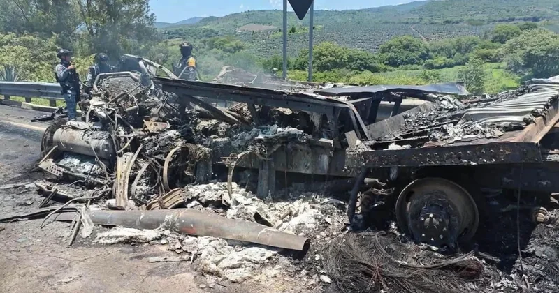 В ДТП с грузовиком в Мексике погибли по меньшей мере 16 человек