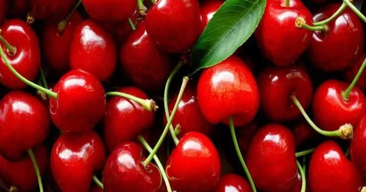 Albalının çəyirdəyini saniyələr içində çıxarmaq üçün ən sadə üsullar