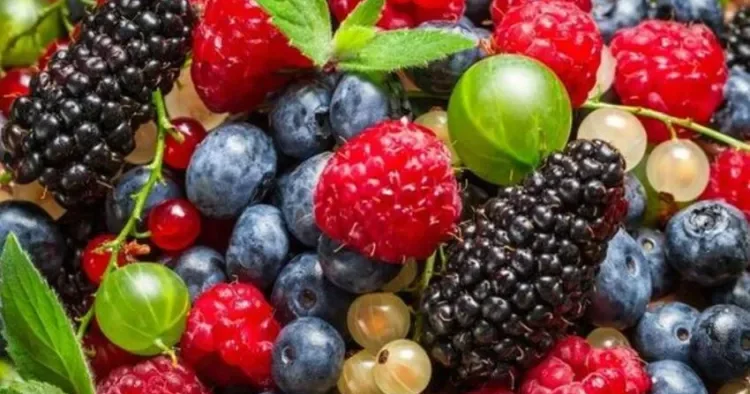 Ən faydalı giləmeyvə hansıdır? Endokrinoloq açıqladı