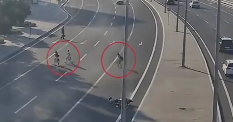 Sürücünün yıxılmasına səbəb oldular, kömək belə etmədilər Video