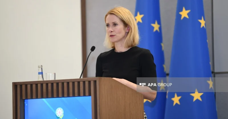 Kallas: Aİ Gürcüstan hökumətini dəstəkləmək istəmir