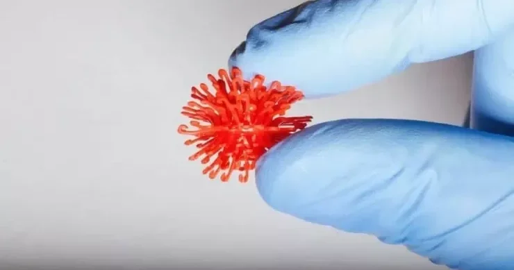 Hantavirus infeksiyası: vacib XƏBƏRDARLIQ