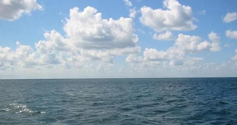 “Sea Breeze” MMC nin vergi borcu var