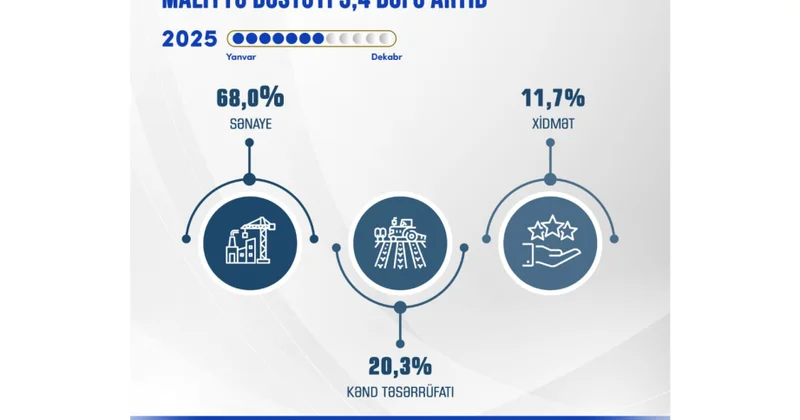 Naxçıvanda sahibkarlara verilən güzəştli kreditlərin məbləği 3,4 dəfə artıb