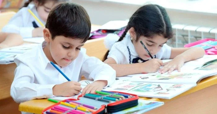 Metodlar ölkələrə və onların təhsil sistemlərinə görə dəyişir Ekspert