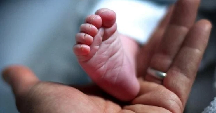 Binanın həyətində yeni doğulan körpə meyiti tapıldı