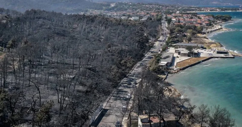 Meşə yanğınlarının Çanaqqala vilayətinə vurduğu zərərin fəsadları havadan görüntülənib
