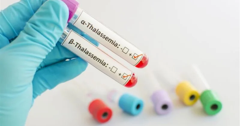 Жизнь с талассемией