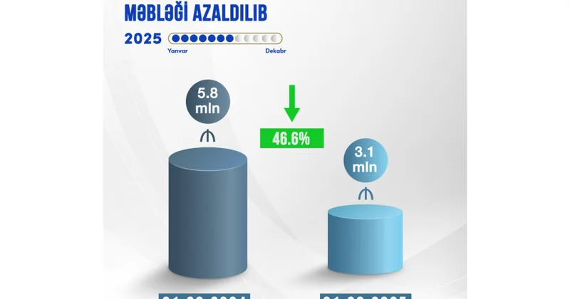 Naxçıvanda problemli kreditlərin məbləği azaldılıb
