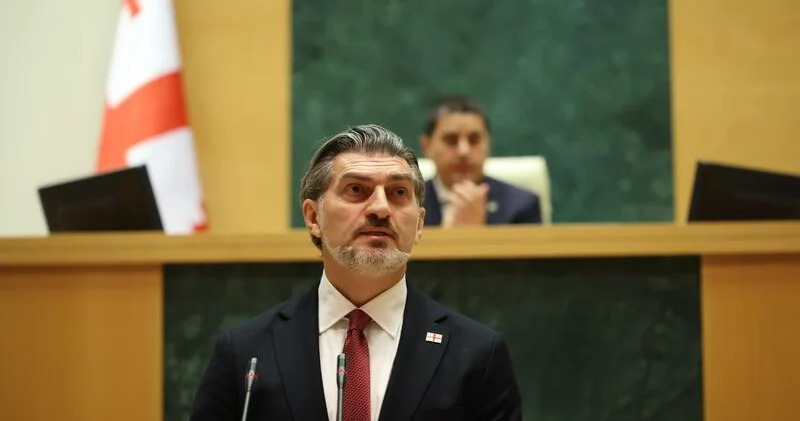 Kavelaşvili Ankarada Azərbaycandan danışdı