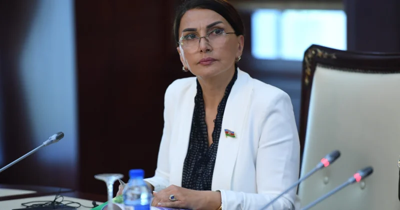 Deputat: Vaşinqton səfərinin nəticələri həm də gələcək nəsillər üçün əhəmiyyət daşıyan strateji qələbədir