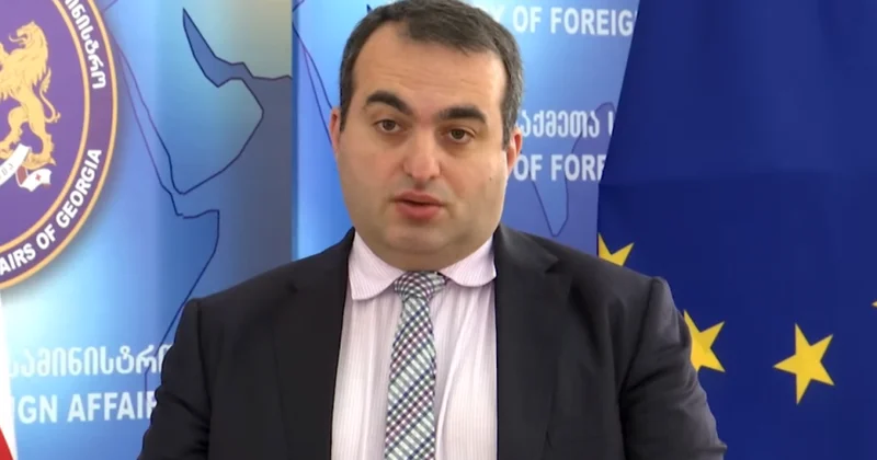 Laşa Darsaliya: Türkiyə Gürcüstan üçün mühüm strateji tərəfdaşdır
