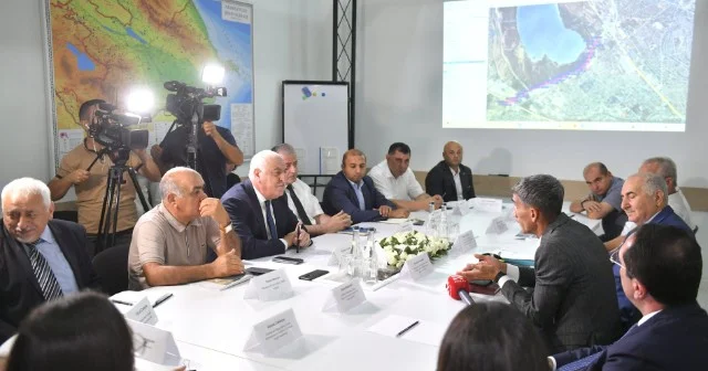 Bu ərazidəki ağaclar köçürüləcək