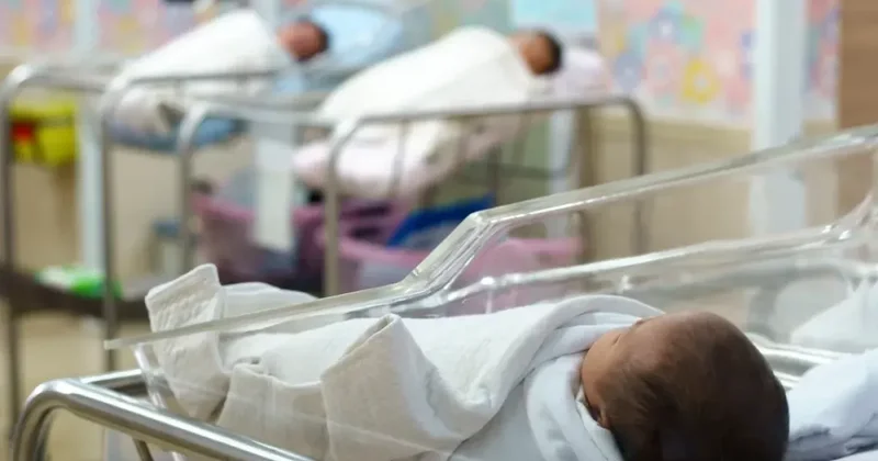 Обнародовано число родившихся в прошлом году в Азербайджане детей