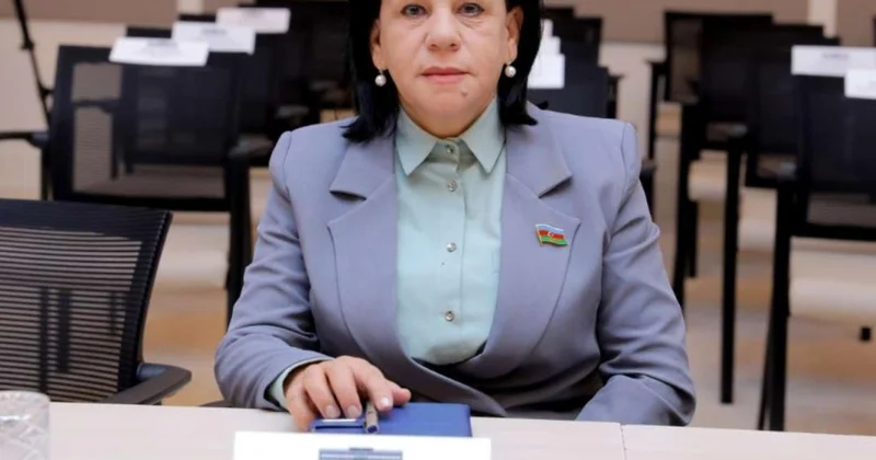 Naxçıvan çox zəngin tarixə və mədəniyyətə, o cümlədən memarlıq mədəniyyətinə malikdir ŞƏRH