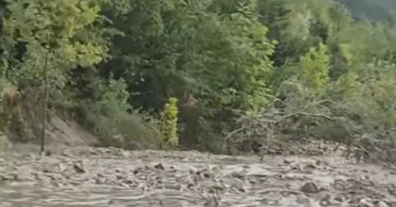 Дождь застал Шеки врасплох видео