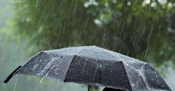 Hava kəskin dəyişir: Külək, intensiv yağış, sel... Nazirlikdən ÇAĞIRIŞ