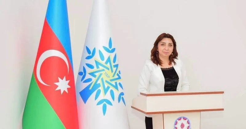 Naxçıvanın tarixi mədəni irsi dövlət qayğısı ilə qorunur ŞƏRH