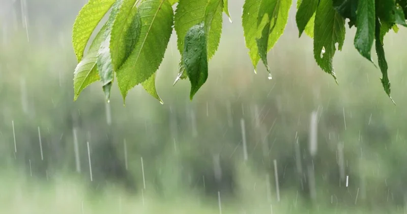 Bəzi rayonlarda arabir yağış yağacağı gözlənilir