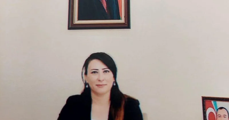 Naxçıvanın enerji təhlükəsizliyi: dayanıqlı və etibarlı enerji təminatının əhəmiyyəti