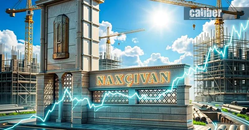 Траектория роста: 258 млн манатов на развитие НАР Обзор Хазара Ахундова