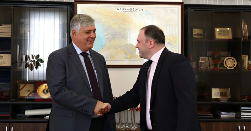Gürcüstan və Avstriya rəsmiləri Orta Dəhlizin strateji əhəmiyyətini müzakirə ediblər