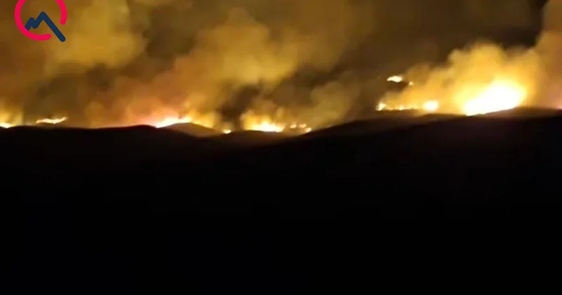 Сильный пожар в двух селах Физулинского района ФОТО